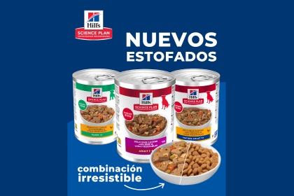 &iexcl;Pru&eacute;balos!