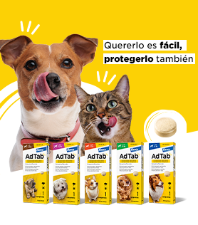 Comprimido masticable con Lotilaner que elimina pulgas y garrapatas para perros de todos los tamaños.