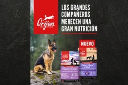 sobre ORIJEN, alimentación natural para perros de razas grandes.