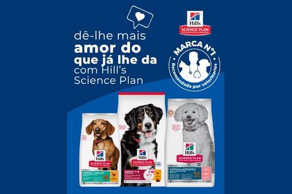 Ver ofertas