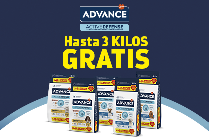 VER OFERTA