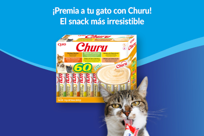 Descubre m&aacute;s