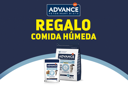VER OFERTA