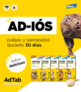 Comprimido masticable con Lotilaner que elimina pulgas y garrapatas para perros de todos los tamaños.