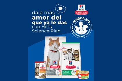 Ver ofertas