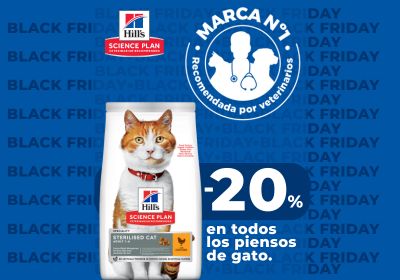 Comprar Hill's Science Plan para gatos con un descuento especial por black friday  -20%