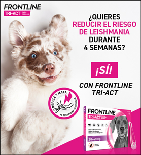 Comprar Ahora