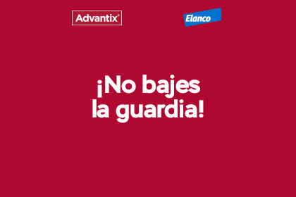 Compra ahora la pipeta