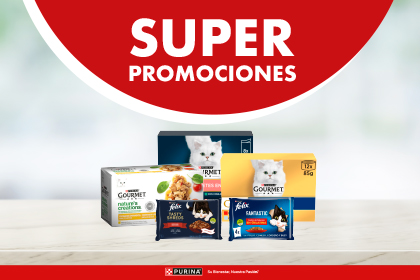promo purina gato humedo