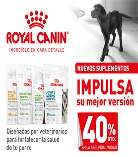 Descúbrelos al 40%