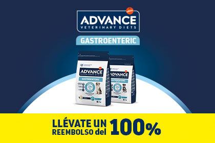 Ver oferta.