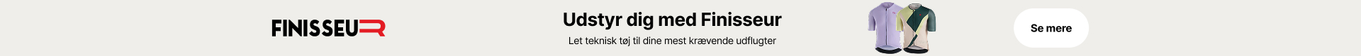 Finisseur
