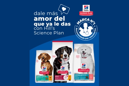 Ver ofertas
