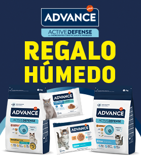 VER OFERTA