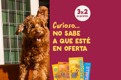 Comprar