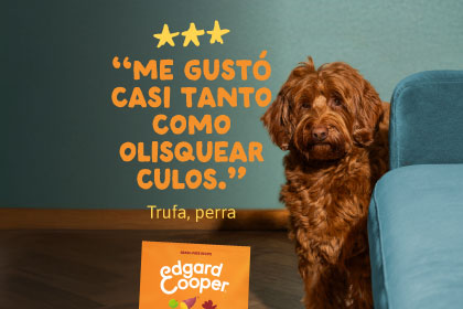 Comprar
