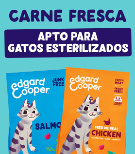 Comprar