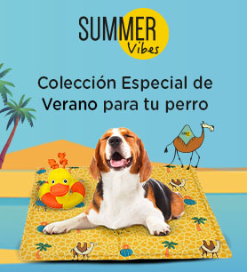 Descubre toda la colección especial de Verano para tu perro