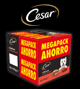 OFERTA CESAR