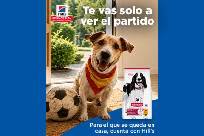 Ver ofertas