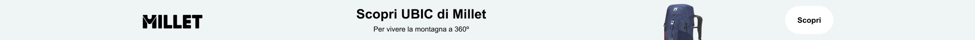 Millet