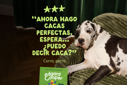Comprar