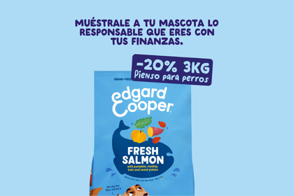 Comprar