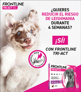 Comprar Ahora