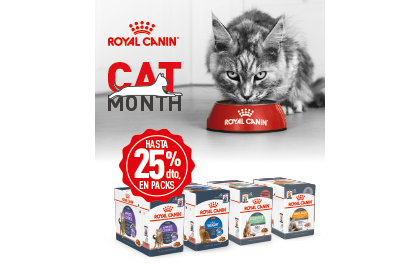 Ver productos Royal Canin para gatos incluidos en la promoci&oacute;n de 25% de descuento en packs de 24 unidades.