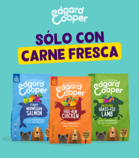 Comprar