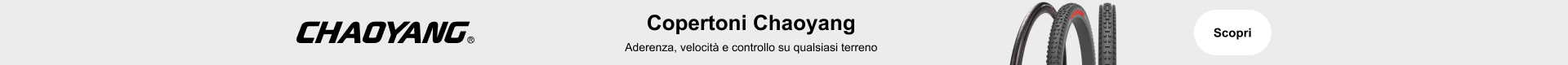 Chaoyang
