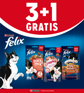 Al ejecutar la llamada a la acción será redirigido a la página de Purina Snacks para Gatos en la web de Kiwoko.