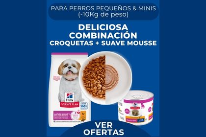 Prueba Hill's Science Plan para perros con ActivBiome+ Multibenefit para perros peque&ntilde;os y minis