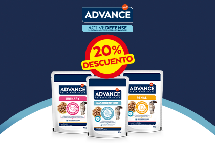 Gato húmedo 20% BlackFriday