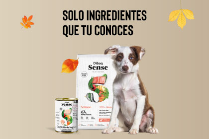 Comprar Ahora