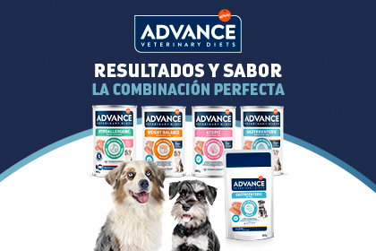 Ver oferta