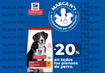 Comprar Hill's Science Plan para perros con un descuento especial por black friday  -20%