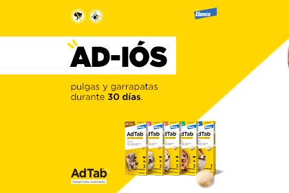 Comprimido masticable con Lotilaner que elimina pulgas y garrapatas para perros de todos los tama&ntilde;os.