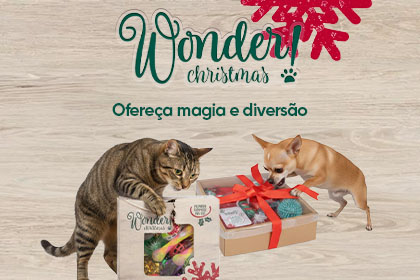 Descubra toda a cole&ccedil;&atilde;o especial de Natal Wonder Christmas