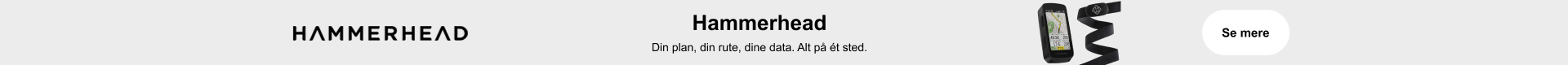 hammerhead