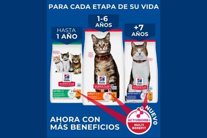 Prueba Hill's Science Plan para gatos con ActivBiome+ Multibenefit para cada etapa de la vida