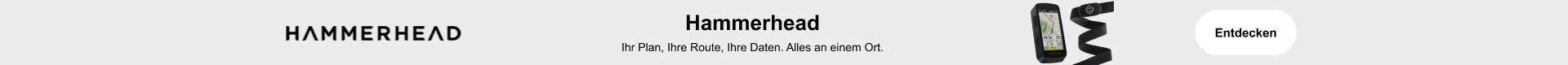 hammerhead
