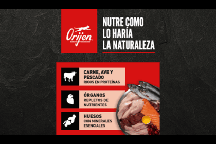 sobre ORIJEN, alimentación natural para gatos.