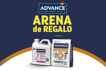 VER OFERTA