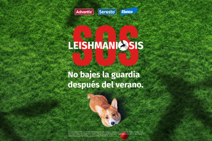 enlace a productos seresto y advantix