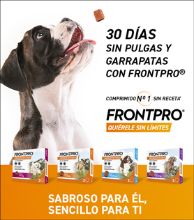 Comprar Ahora