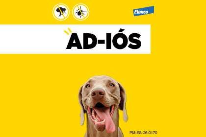 Comprimido masticable con Lotilaner que elimina pulgas y garrapatas para perros de todos los tama&ntilde;os.