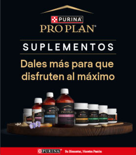 Al ejecutar la llamada a la acción será redirigido a la página de Purina Pro Plan Suplementos en la web de Tiendanimal.