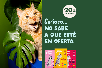 Comprar