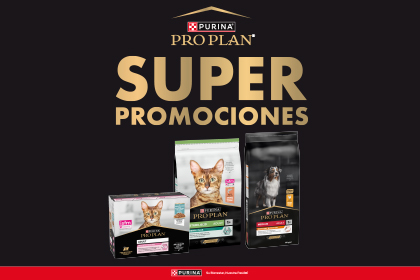 Promo de Pro Plan